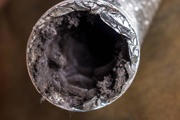 Best Air Duct Cleaning Company Near Me  in Ballard, UT